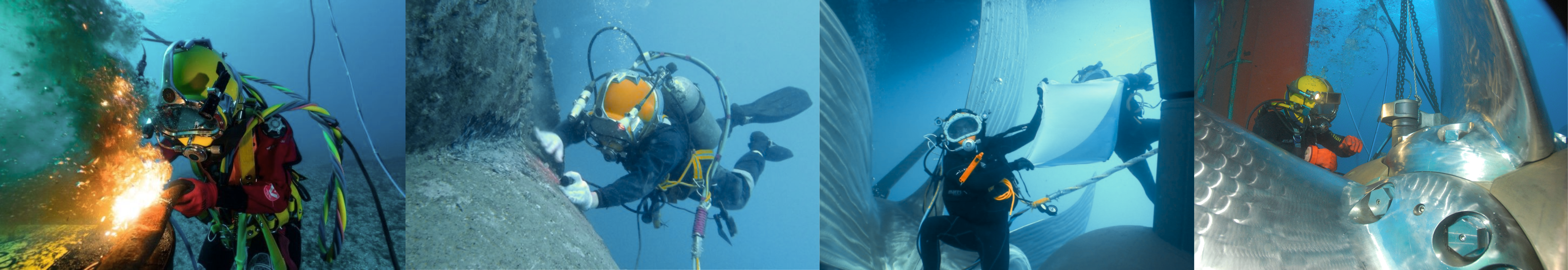 Career Opportunities